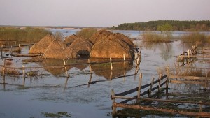 На Закарпатье почти не осталось подтопленных сельхозугодий