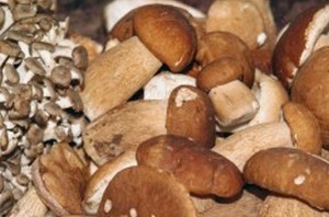 Трое взрослых и четырех летний ребенок отравились грибами