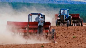 Аграрии завершат посев основных яровых культур до середины мая