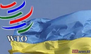 Итоги пятилетнего членства Украины в ВТО
