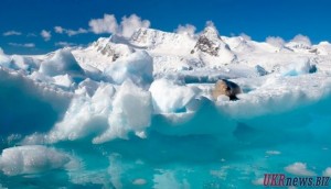 Интересные факты о ледниковых периодах Земли