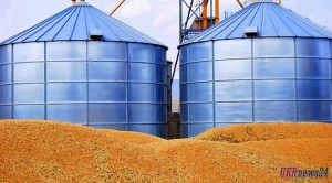 Экспорт украинского зерна вырос на 16%