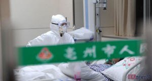 Китайские медики создали вакцину от птичьего гриппа
