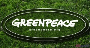 Greenpeace обжаловала решение российского суда в отношении своих активистов