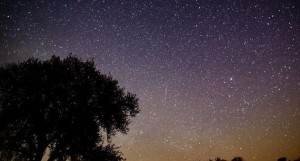 Землян ожидает звездопад в ночь с 17 на 18 ноября