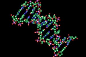 В молекуле ДНК обнаружен вторичный “скрытый” код