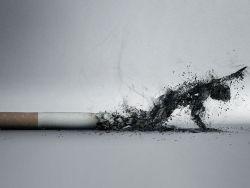 Борьба с курением спасла 8 миллионов американцев