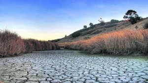 Украина плавно, но неуклонно переходит в новый климат