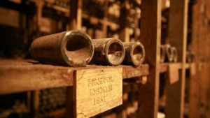 Грузия хочет научно обосновать статус родины вина