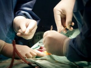 Ученые впервые успешно пересадили искусственно выращенную вагину