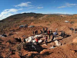 Скелет самого большого динозавра в мире найден в Аргентине (+Видео)