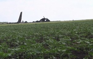 В Сети появилось видео с места падения сбитого в Луганске самолета (+Видео)