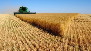 Венгрия вызвалась помочь Украине с экспортом зерна