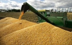 Украина увеличила экспорт агропродукции