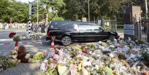 В Нидерландах хотят изучить роль Украины в авиакатастрофе MH17