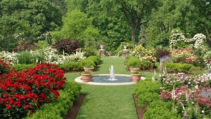 5 простых вещей, которые украсят ваш сад