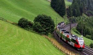 Во Франции дикий кабан сбил состав поезда “Евростар”