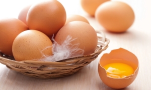 Украинские аграрии будут поставлять яйца в Евросоюз