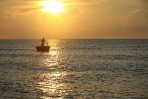 На Азовском море нашествие медуз и блох, которые больно жалят