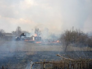 В Черниговской области из-за поджога травы сгорели 16 зданий (+Видео)