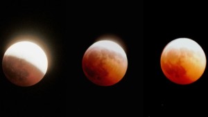 Уже скоро над Землей взойдет самая короткая за 100 лет «кровавая Луна»