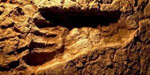 Самые древние следы человека найдены на территории Канады