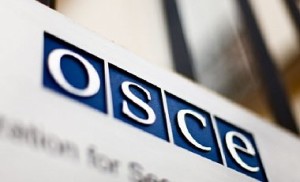 В ОБСЕ не встали на сторону России из-за запрета голосования в Украине