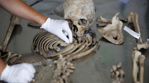 Найден человеческий зуб возрастом не менее 550 тыс. лет