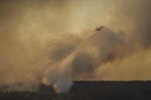 В Чернобыльской зоне продолжает гореть лес