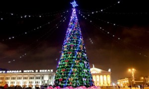 Завтра в Киев привезут главную елку страны