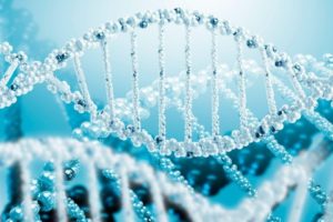 В Японии ученые смогут изменять ДНК человеческих эмбрионов