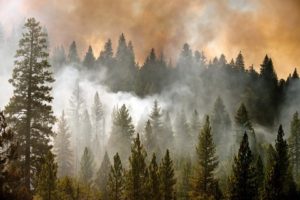 В Канаде из-за лесных пожаров эвакуируют 80-тысячный город