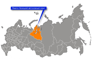 Вспышка сибирской язвы в России