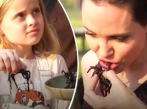 Джоли накормила своих детей пауками (+Видео)