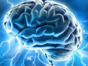 Ученые рассказали об уникальном случае жизни мозга человека после смерти