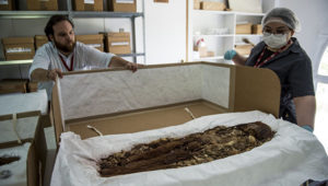 Ученые впервые полностью “прочитали” ДНК древнеегипетских мумий