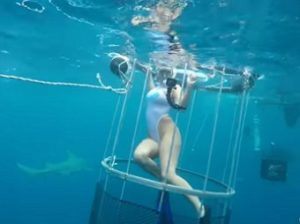 Акула покусала порнозвезду на съемках во Флориде (+Видео)