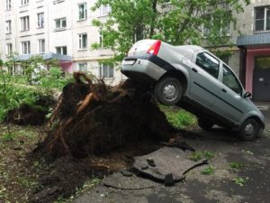 В результате урагана в Москве и Подмосковье погибло 14 человек, – СК РФ