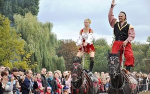В Житомире прошел “Праздник украинского коня”