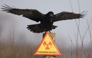 В России произошел мощный выброс радиации