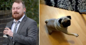 Шотландец научивший своего пса «зиговать» отправился в суд (+Видео)