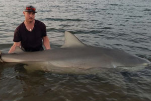 Мужчина попытался спасти акулу и чуть не остался без руки