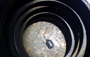В Харьковской области на детской площадке нашли гранату