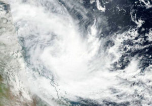 На Австралию движется «шторм-зомби»