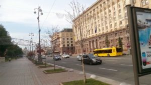 В Киеве на Крещатике массово гибнут молодые каштаны