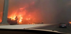 Масштабные пожары в Греции: власти назвали причину