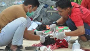 Число жертв цунами в Индонезии резко возросло