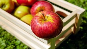 Украинские яблоки уже можно экспортировать в Индию