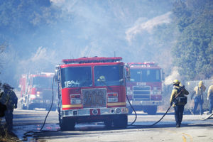 В Калифорнии 31 человек погиб и 228 пропали без вести из-за лесного пожара