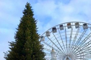 В Киеве установили новогоднюю елку